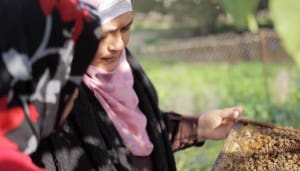 Khawla from the Women's Center in Aqabet Jabbber (Jericho) showing a self-funded honey project